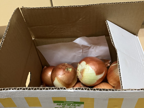 【訳あり】淡路島玉ねぎ「晩生種」５kg　特別栽培　ひょうご安心ブランド認証取得