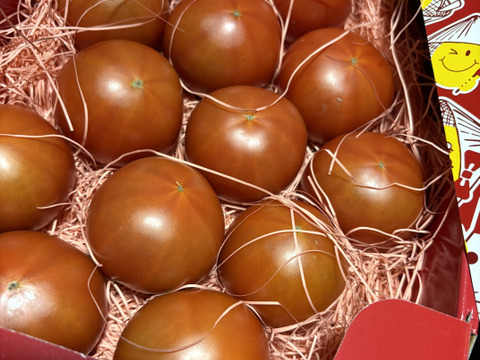 【全国トマト選手権入賞】ぜいたくトマト《冬の陣》