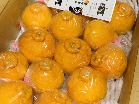 不知火デコ柑3k以上入ってます、サイズコミコミB品小玉多めになります。