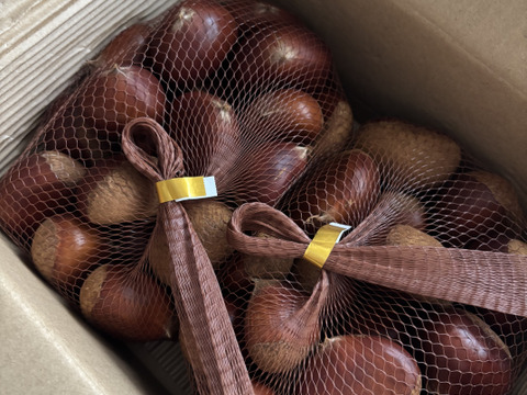 旬の秋！農薬不使用で育てた体に優しい生栗2L以上 (2㎏)：茨城県