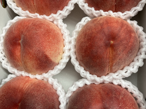 【ご自宅用】夢みずき2kg