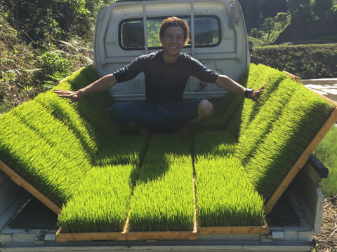 【予約割り中】【彩りセット】旬の野菜で美味しくモリモリ食べて健康に(2〜3人用)8〜10種【食べ比べセット】