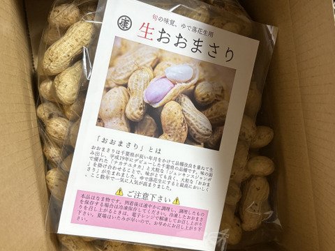 【旬物】ぷりぷり大粒！千葉県産おおまさり1kg 食べ応えバツグンのジャンボ落花生！