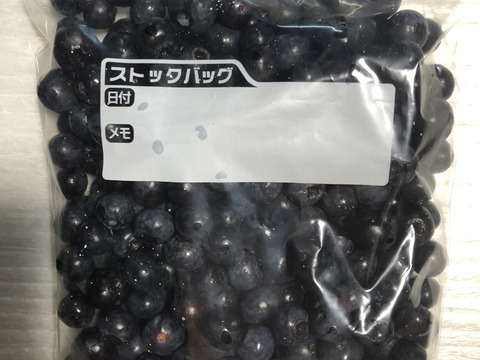 【農薬も化学肥料（窒素成分）も栽培期間中不使用】ラビットアイ系ブルーベリー冷凍（300g×2パック）