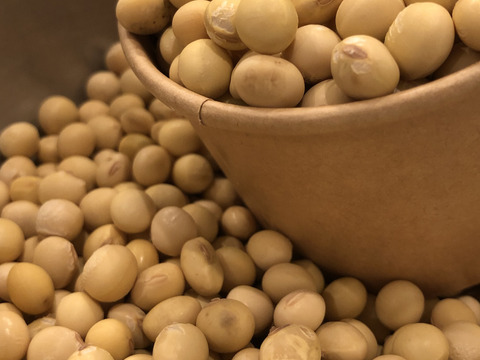 【令和7年産】自然栽培「ふくゆたか大豆」（静岡県産）