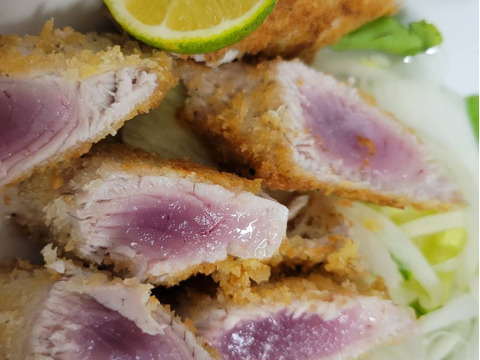 【福袋】クロマグロの
子供ヨコの柵10本セット