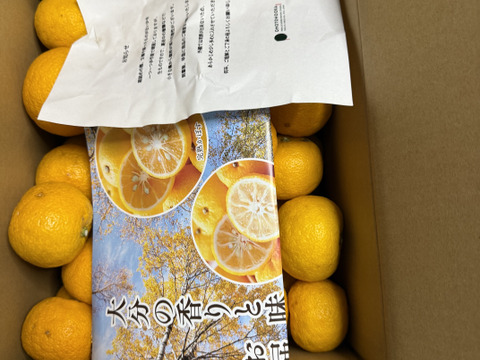 【数量限定】これからの季節の風味には柚子（ユズ・ゆず）約4Kg【お徳用】