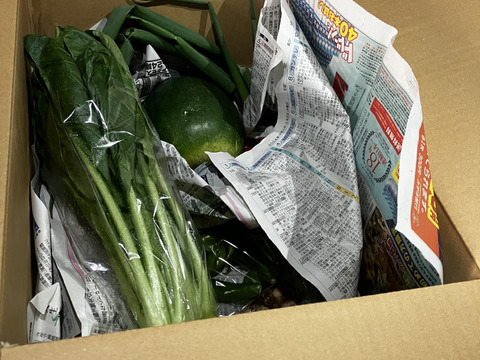 京野菜の福袋❗詰め込みセット！【８～９品目】【100サイズ】