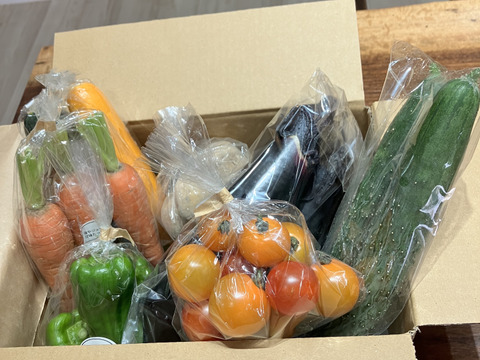 Sサイズ【栽培期間中農薬不使用】季節のお野菜詰め合わせ[5〜6