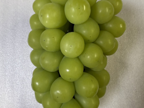 【ご家庭用】晴れの国岡山育ち！大粒シャインマスカット 2kg （3〜4房）