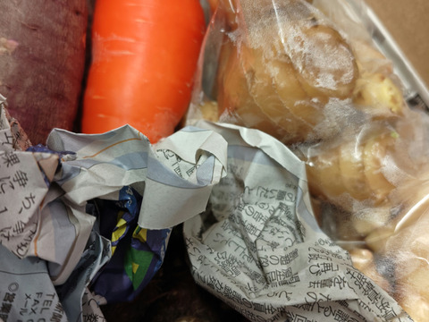 【農薬・化学肥料不使用】生姜500g　仕込みレシピ付き