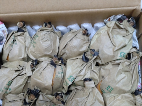 房州びわ1kg(露地栽培、農薬・化学肥料不使用)＊袋びわ