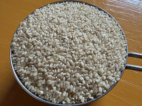 【新米】令和7年産　青森県産はれわたり玄米10キロ　※お願い※【商品説明欄を最後まで必ず読んで下さい】