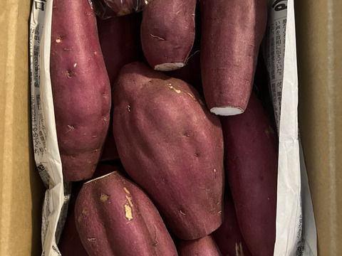 訳ありでも美味しい‼︎ホクホク系「紅あずま」色々なサイズ入り 3キロ箱