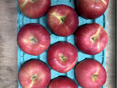 特別栽培!! 生産量の少ない希少りんご「華宝」Ａ品・3㎏