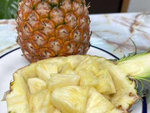 南国鹿児島産　桃の香りのする！？不思議なパイン　完熟ピーチパイン　Ｌ玉２個　約２kg