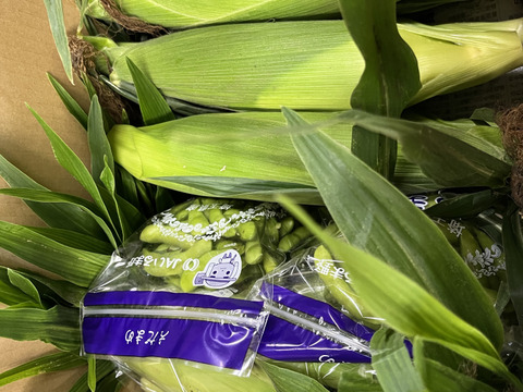 新宿タカノが認めたスイートコーン