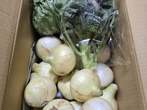 大好評，地層が違う淡路島、新玉ねぎスーパーアップ３キロ(風袋込み)