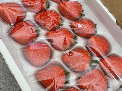 【苺音スタンダードハーフ約425g】香川県産さぬきひめ｜食べチョクいちごグランプリ2025金賞受賞❗️