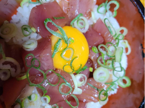 【福袋】クロマグロの
子供ヨコの柵10本セット