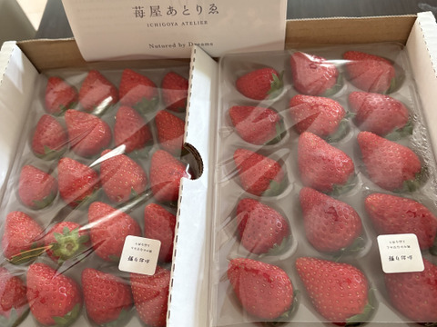 酸味控えめで甘い！かおり野4P　お得なご家庭用！　230g×4p