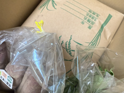 「新米」奥養老産コシヒカリ５kg【令和７年産】