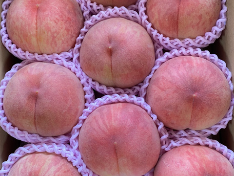 🍑あかつき🍑3キロ箱(8玉〜12玉)化粧箱