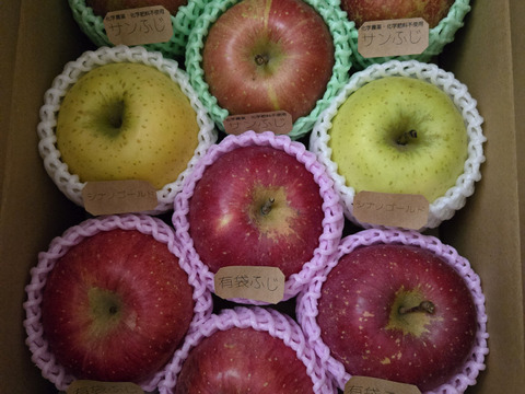 ☆農薬不使用りんご☆と特別栽培りんご(品種おまかせ)詰め合わせ3キロ（８〜１２玉）