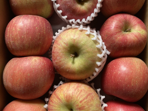 信州りんご🍎４キロパック詰め