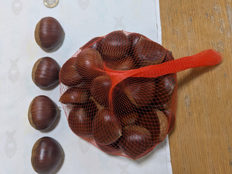 信州産小布施栗1kg　2~4Lサイズ