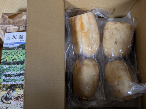 はね出し 自然栽培れんこん1kg 真空【10～翌4月下旬】【満天☆青空レストランで紹介】