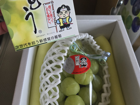 桃太郎ぶどう(瀬戸ジャイアンツ)秀品600g：香川県産の瀬戸
