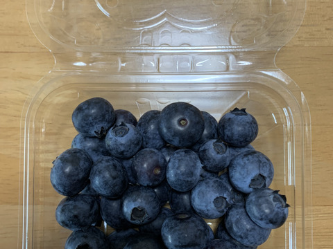 【生食用】知多半島産わくわくファームの新鮮ブルーベリー！　100g×5p
