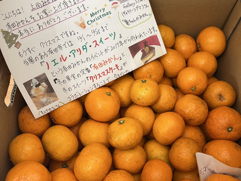 有田みかん【小粒小玉】5kg（箱込）