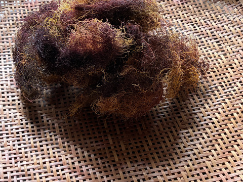 採れたて糸魚川産天然エゴ草 100g