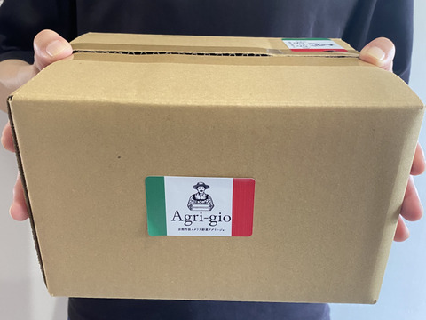 【京都の夏物語】アグリ―ジョの夏の定番野菜３品（約2kg）