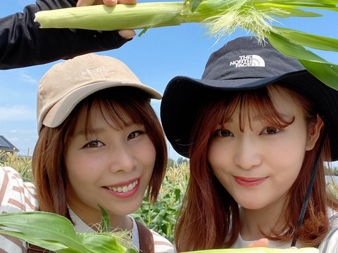 【残りわずか】(30本)農業女子が作る超新鮮ヤングコーン♪