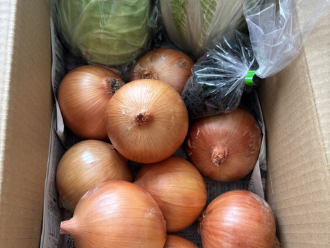 大好評，地層が違う淡路島、大玉ターザン(風袋込み3キロ)