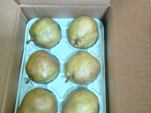 お届けは１０月下旬～食べ頃をお届け♪【おうち用ラフランス 】約２ｋｇ(５～１０玉)