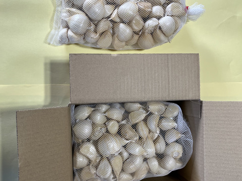 北海道の大地で生産された,にんにくの王様『白玉王鱗片』 1,000g