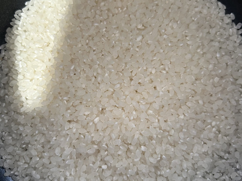 奈良県五條市産／柿名産地　ひとめぼれ米🌾