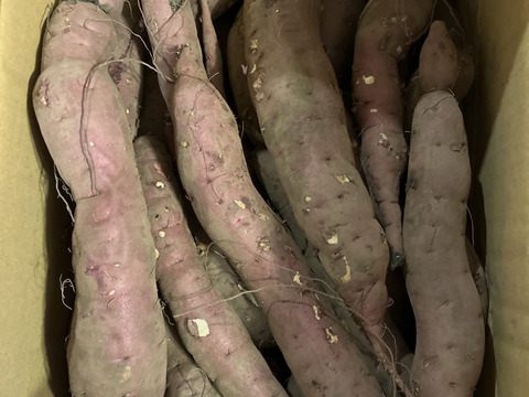 【訳あり品】⭐︎10k⭐︎熟成！蜜たっぷり紅はるか♪さつまいも⭐︎限定セール中！