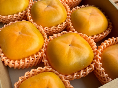 【送料500円引き🍂】数量限定⭐️  特大ひらたねなし柿🟧　4L以上 8玉入り（家庭用）