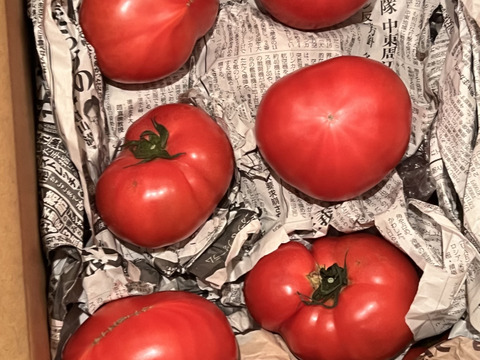 毎食トマト！栄ちゃんトマト　　Ｂ級品入り特大トマト　6キロ入り。
今年もデカい、美味い、ジューシー！