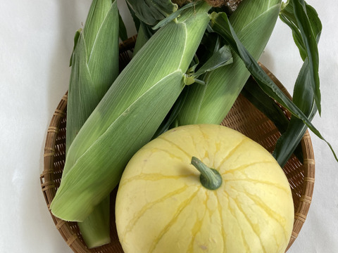 【夏ギフト】夏のお楽しみセット小玉スイカと生食OK白いとうもろこし《ピュアホワイト》