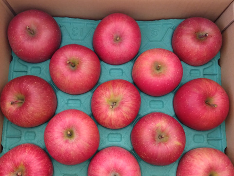 【販売開始！人気商品】青森県産りんご「サンふじ」家庭用 キズ有 約5kg【美味・光センサー選果済】