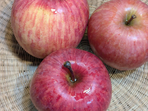 りんご　サンふじ　約６８％農薬カット　20-23個　約6キロ　小玉多め　キズ等、黒点できるだけ無いりんご 　天然冷蔵庫で冬越したもの。かなり鮮度落ちてます。