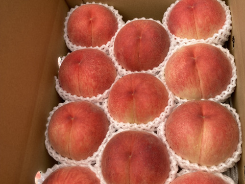 感動の甘さ！桃源郷福島の『大きめあかつき』（３kg箱9〜12個）【本州の方限定】