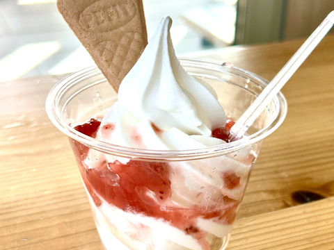 オール国産・完全無添加！「とちおとめ」のコンフィチュール