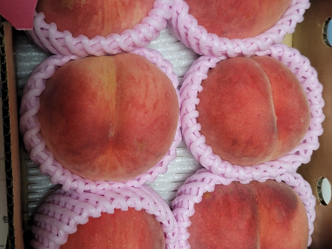 🍑珍しい桃 まどか 5玉前後 8月中旬発送 収穫した日に発送 家庭用 農家
